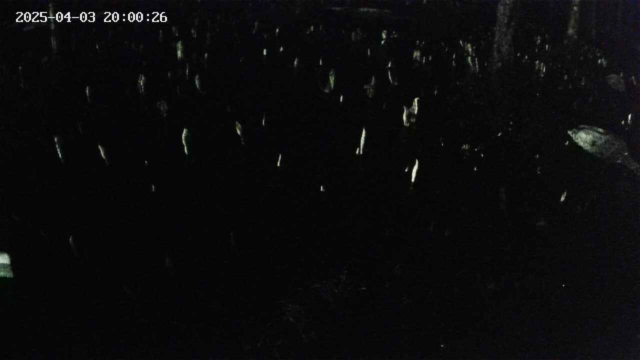 mizubasho2-20250403200027.jpg