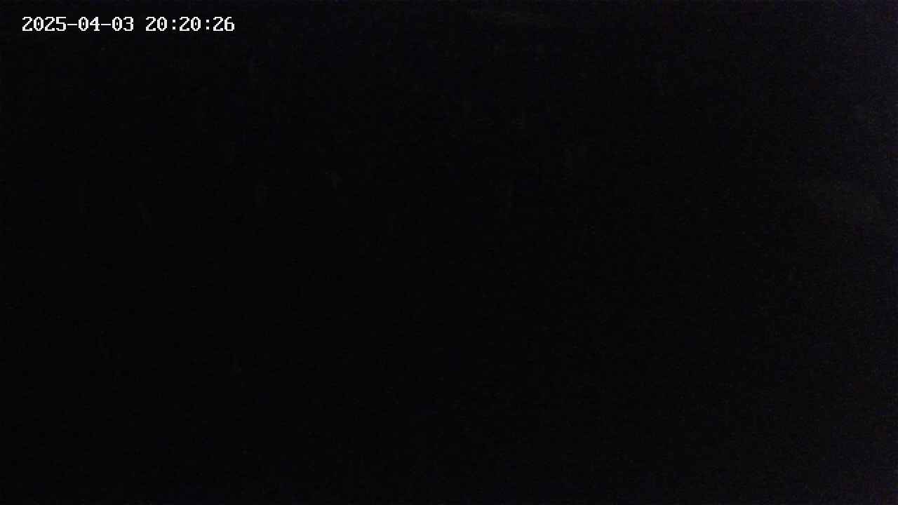 mizubasho2-20250403202026.jpg
