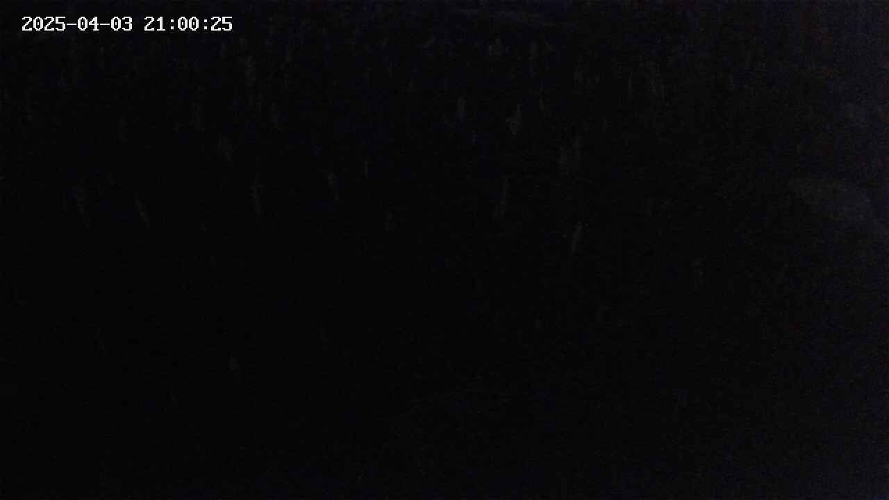 mizubasho2-20250403210026.jpg