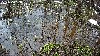 mizubasho2-20250404063032.jpg