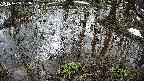 mizubasho2-20250404083030.jpg