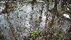 mizubasho2-20250404085029.jpg