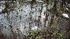 mizubasho2-20250404090029.jpg