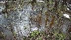 mizubasho2-20250404092029.jpg