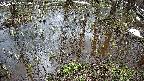 mizubasho2-20250404094029.jpg