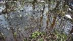mizubasho2-20250404103029.jpg