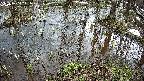 mizubasho2-20250404111029.jpg