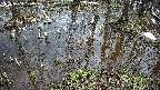 mizubasho2-20250404120030.jpg