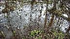 mizubasho2-20250404123027.jpg