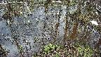 mizubasho2-20250404124029.jpg