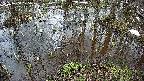 mizubasho2-20250404125029.jpg