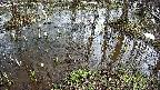 mizubasho2-20250404132030.jpg