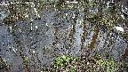 mizubasho2-20250404135029.jpg