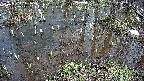 mizubasho2-20250404141029.jpg