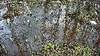 mizubasho2-20250404150031.jpg