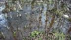 mizubasho2-20250404151029.jpg