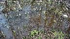 mizubasho2-20250404154030.jpg