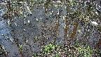 mizubasho2-20250404160030.jpg