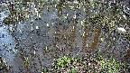 mizubasho2-20250404161030.jpg
