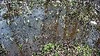 mizubasho2-20250404163028.jpg