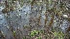 mizubasho2-20250404164027.jpg