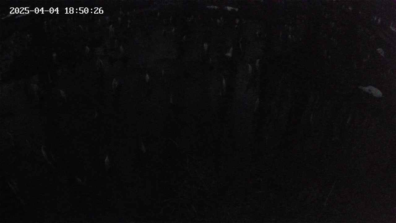 mizubasho2-20250404185026.jpg