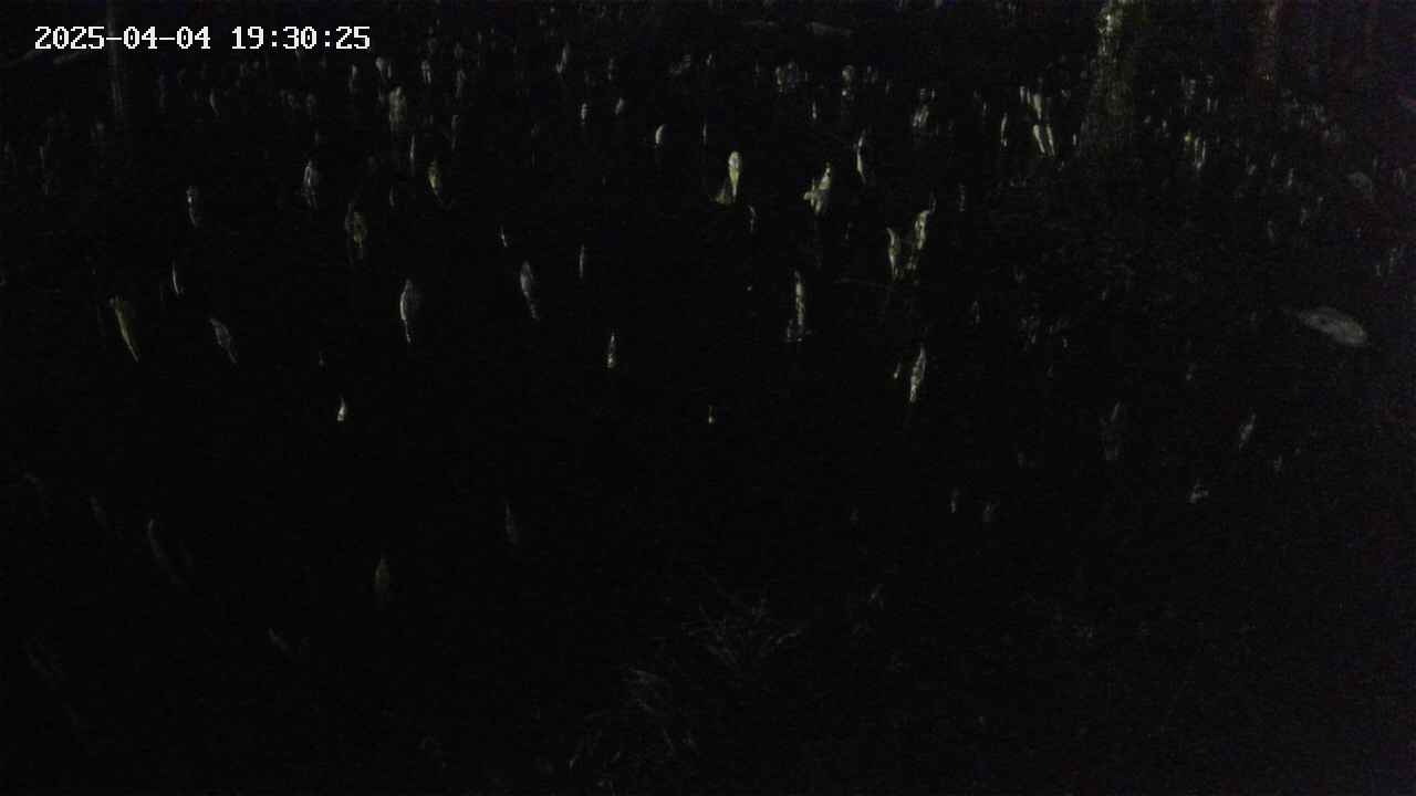 mizubasho2-20250404193025.jpg