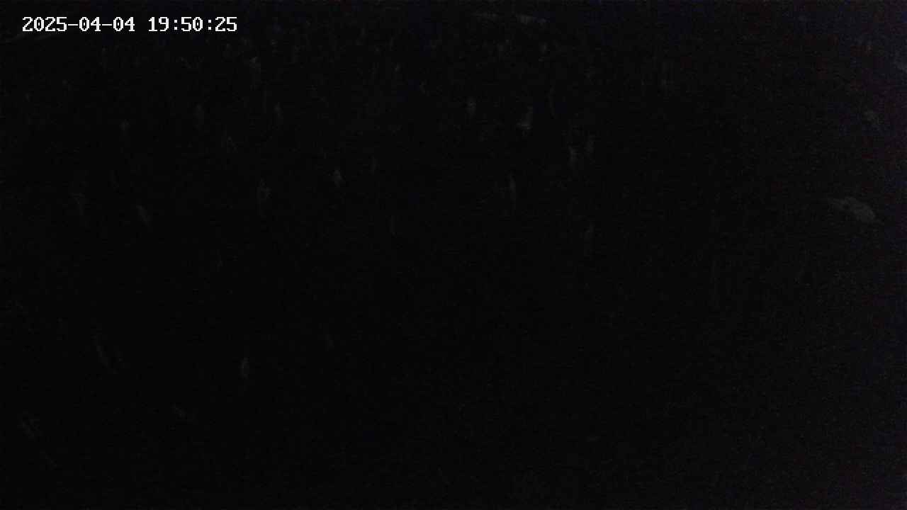 mizubasho2-20250404195026.jpg