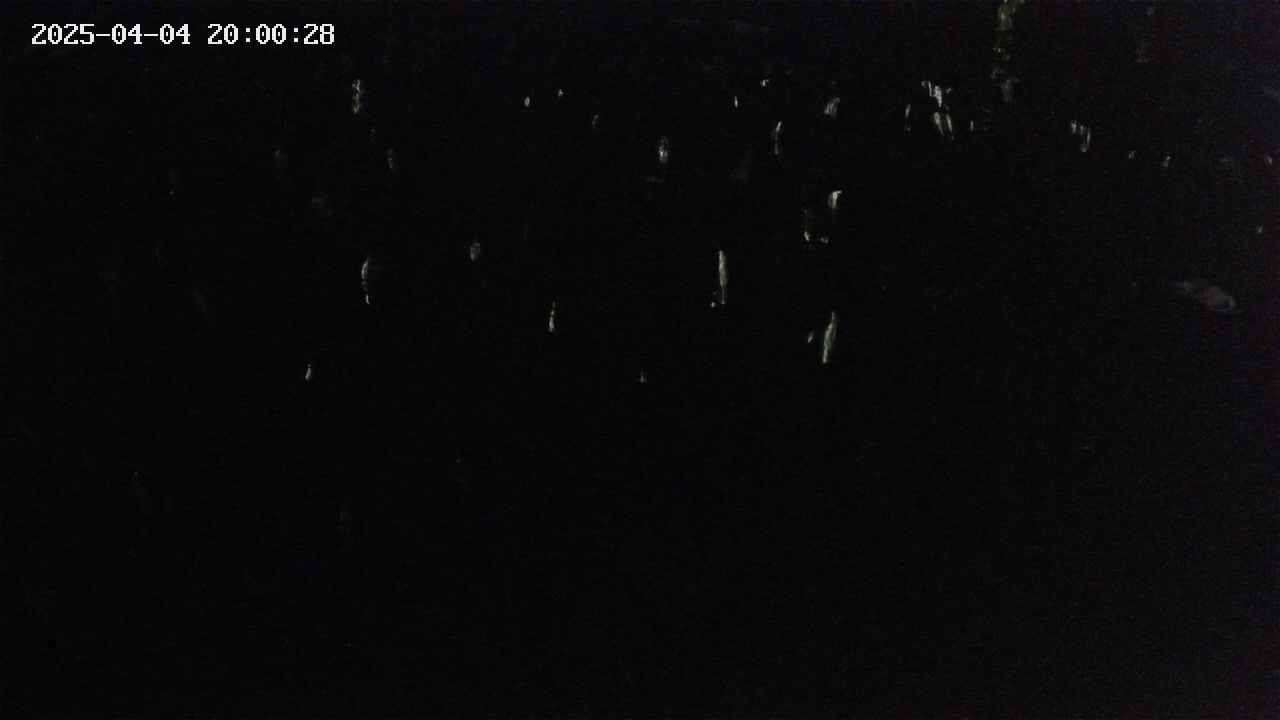 mizubasho2-20250404200028.jpg
