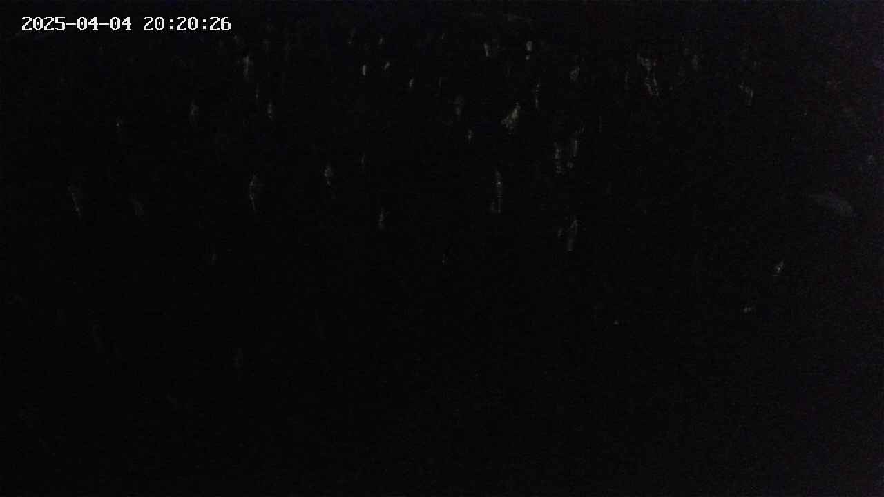 mizubasho2-20250404202026.jpg