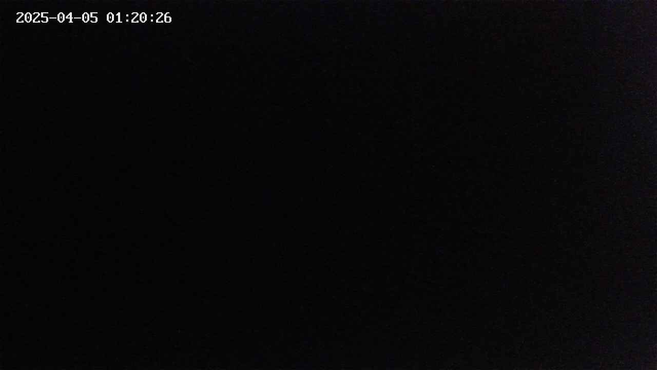 mizubasho2-20250405012026.jpg