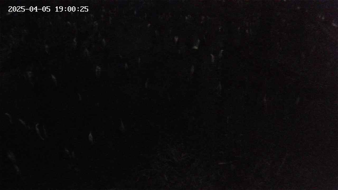 mizubasho2-20250405190026.jpg
