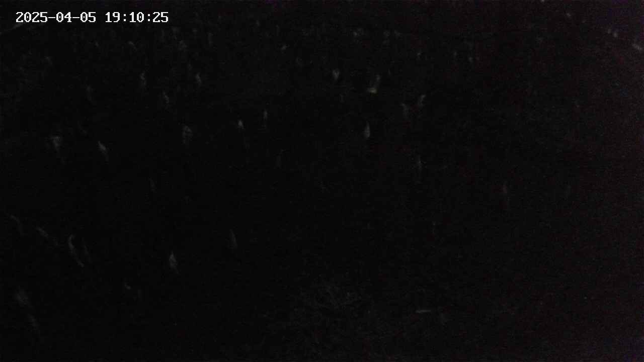 mizubasho2-20250405191026.jpg