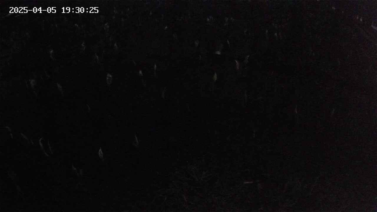 mizubasho2-20250405193026.jpg