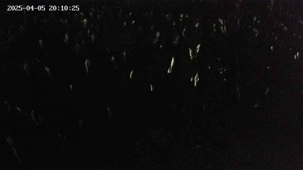 mizubasho2-20250405201026.jpg