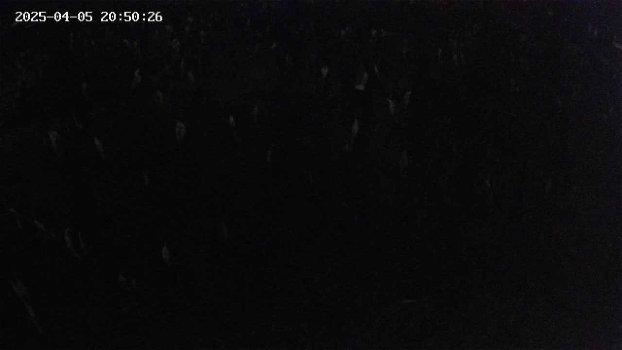 mizubasho2-20250405205027.jpg