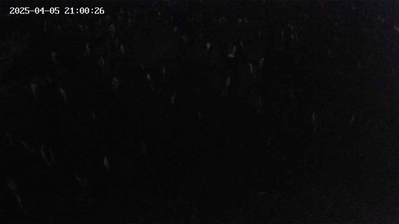 mizubasho2-20250405210027.jpg