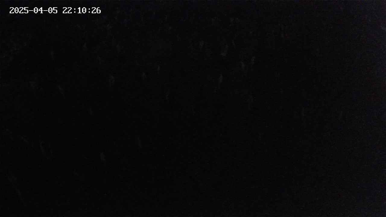 mizubasho2-20250405221026.jpg