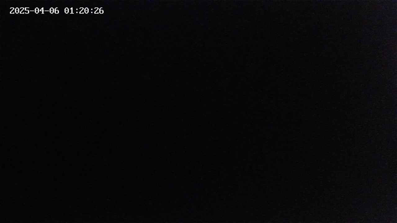 mizubasho2-20250406012027.jpg
