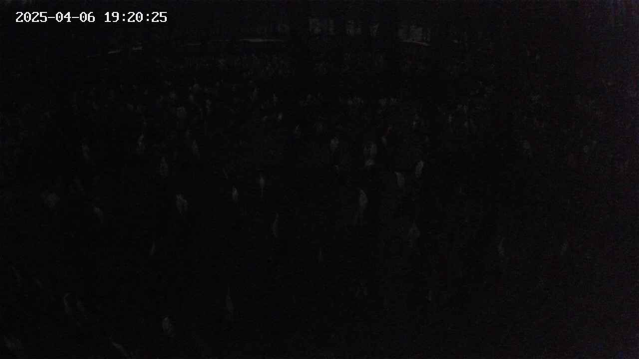 mizubasho2-20250406192026.jpg