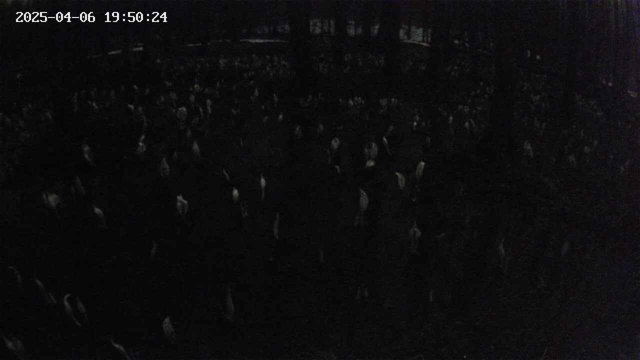 mizubasho2-20250406195025.jpg