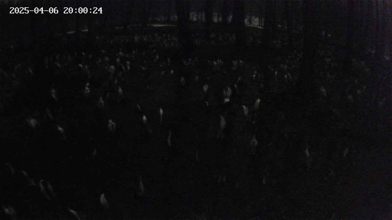 mizubasho2-20250406200025.jpg