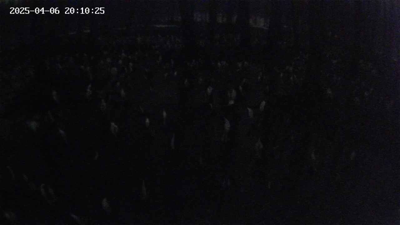 mizubasho2-20250406201026.jpg