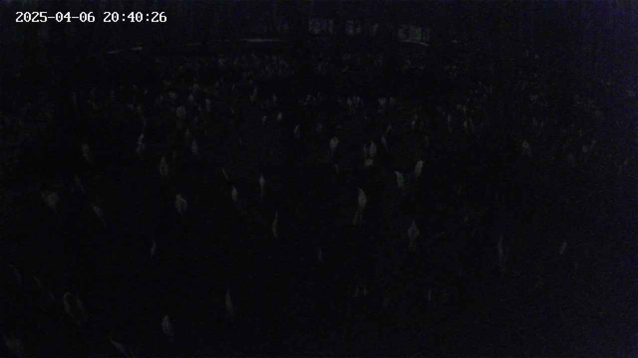 mizubasho2-20250406204026.jpg