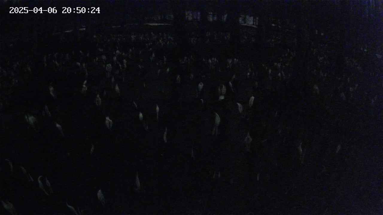 mizubasho2-20250406205025.jpg