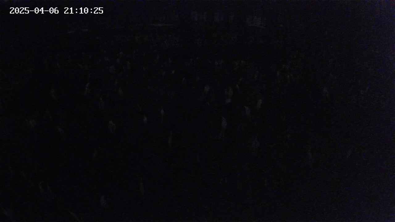 mizubasho2-20250406211026.jpg
