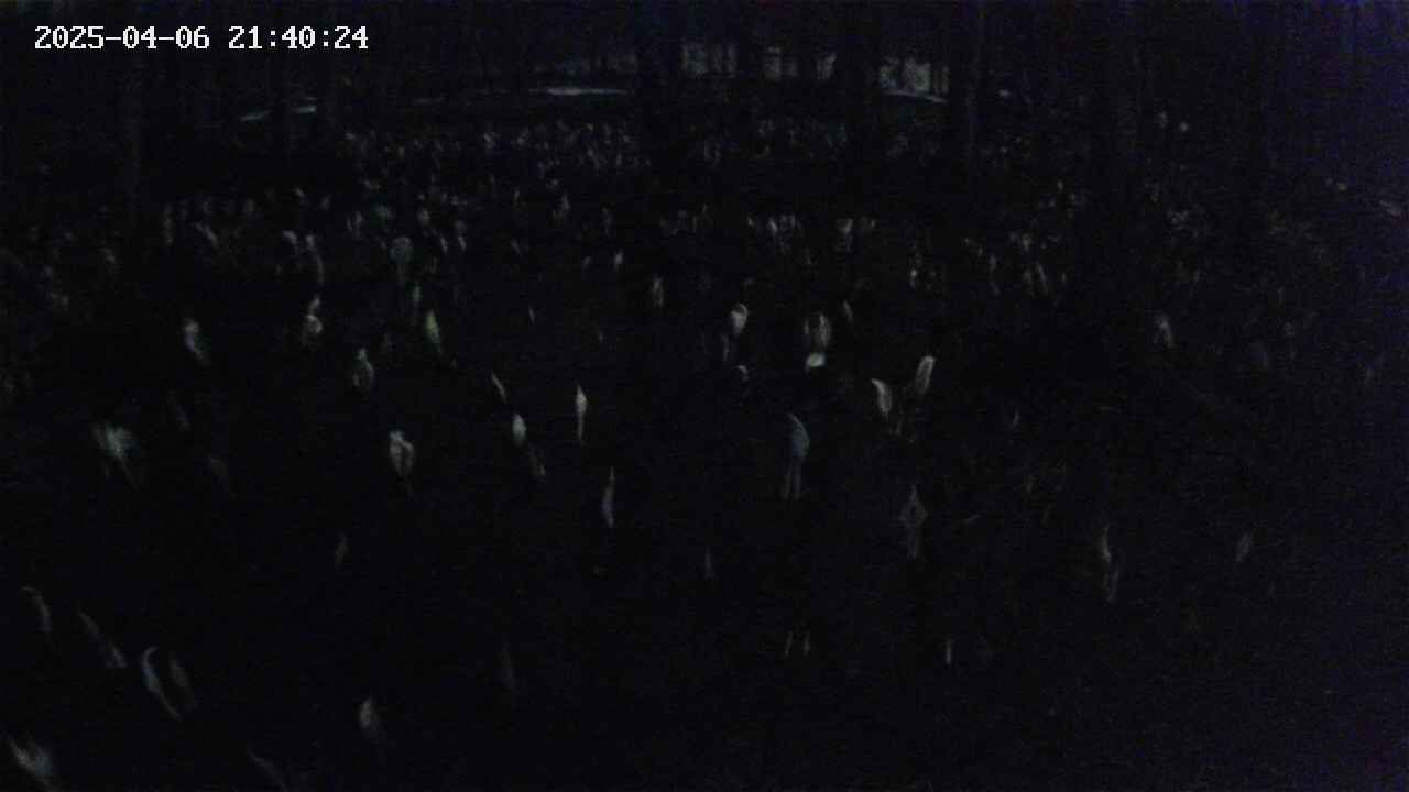 mizubasho2-20250406214025.jpg