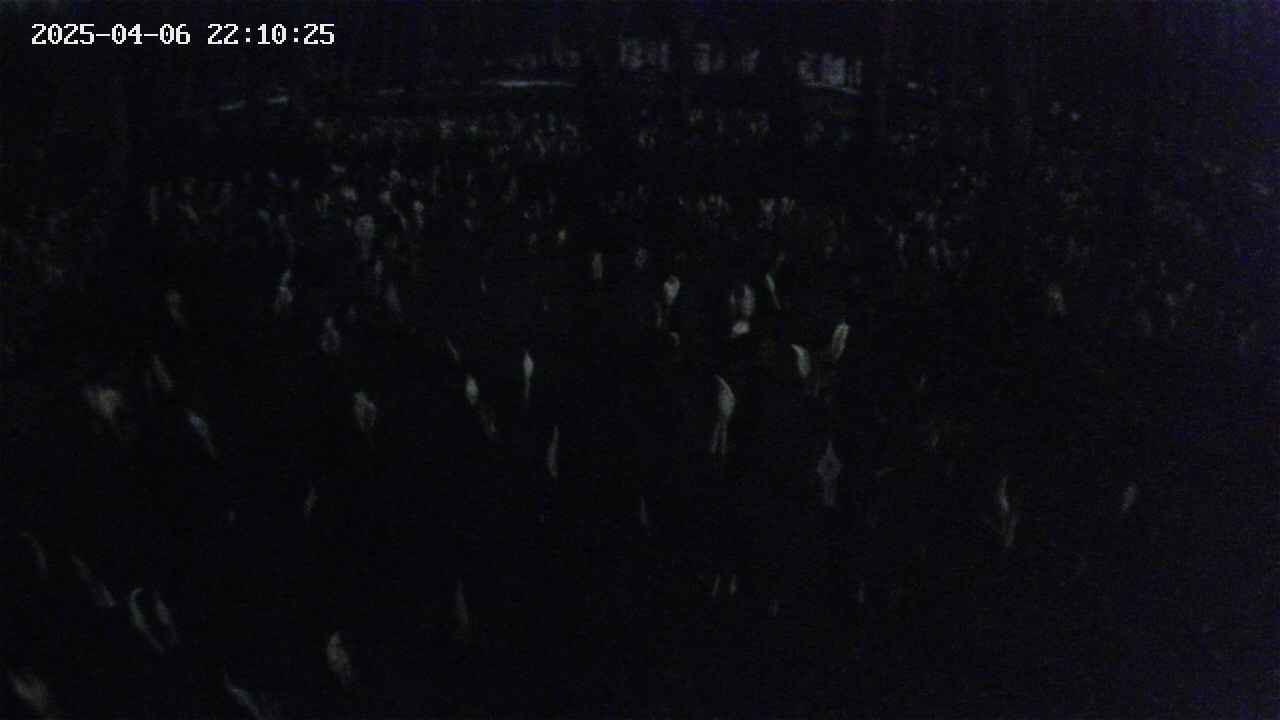 mizubasho2-20250406221026.jpg
