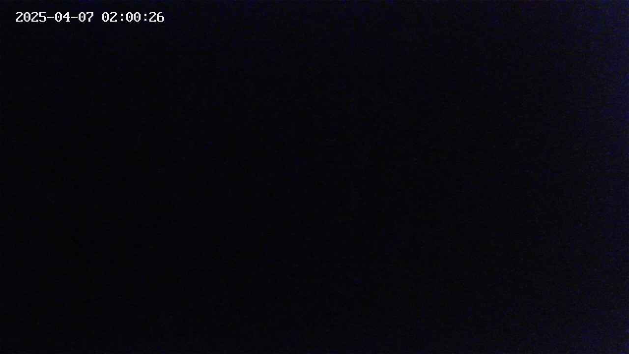 mizubasho2-20250407020026.jpg