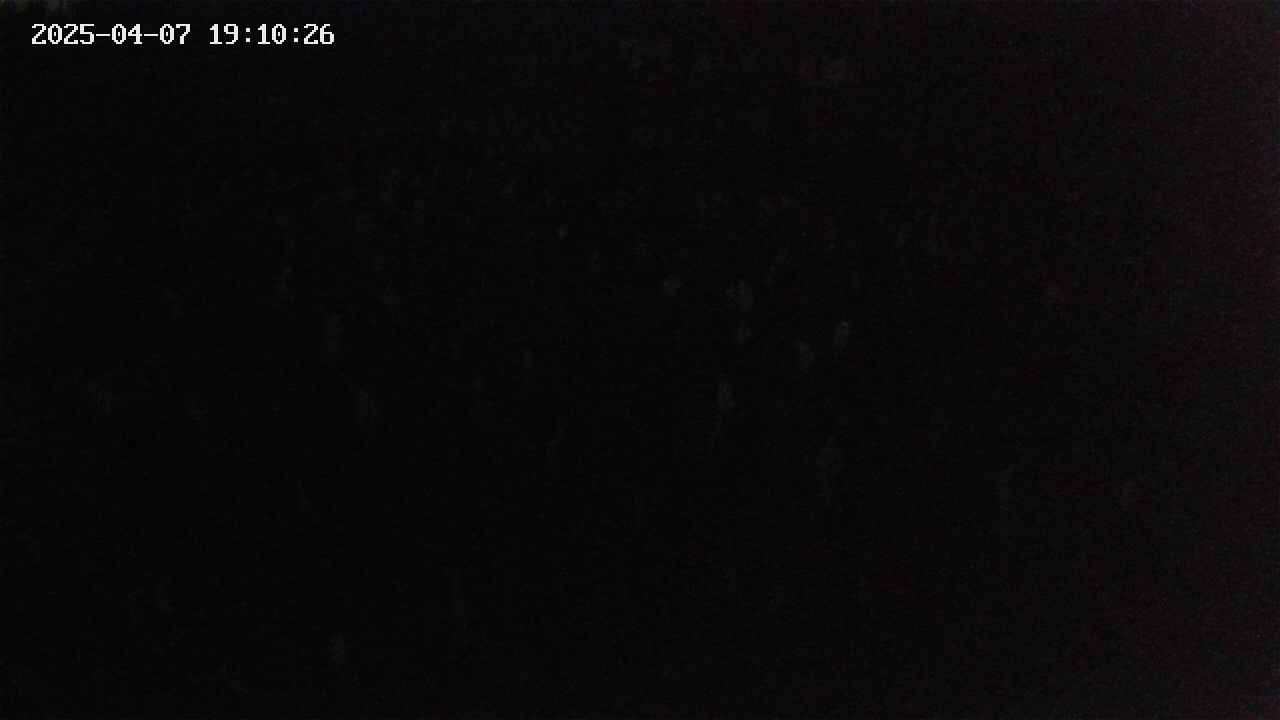 mizubasho2-20250407191026.jpg